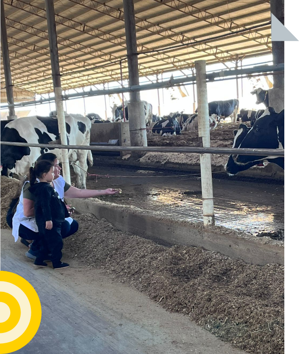 Experiencia Montechiari