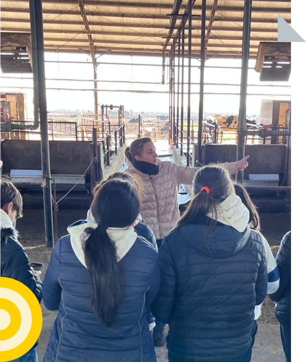 Experiencia Montechiari